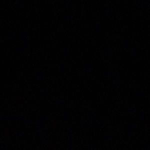 Meet your Posher, Isabelle